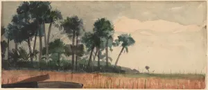 Homer Winslow Prints: Palm Trees, Red, 1890. Creator: Winslow Homer
