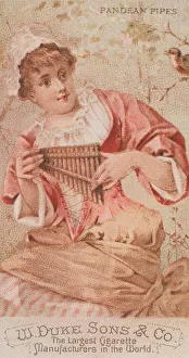 Schumacher And Prints: Pandean Pipes, from the Musical Instruments series (N82) for Duke brand cigarettes, 1888