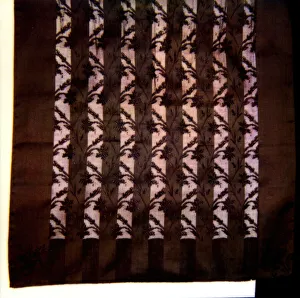 Panel from an Apron, Europe, 1850 / 1900. Creator: Unknown