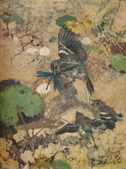 Chick Prints: Panel by Bruno Liljefors, c1924. Artist: Bruno Liljefors