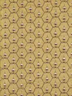 Images Dated 14th December 2021: Panel (Dress Fabric), France, 1775 / 80. Creator: Unknown