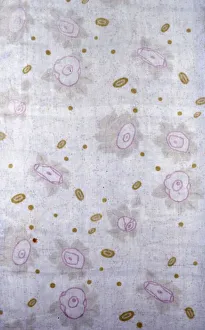 Wiener Werkstätte Prints: Panel (Dress or Furnishing Fabric), Vienna, 1903 / 05. Creator: Wiener Werkstatte