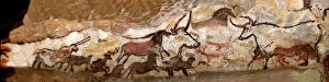 Caves Painting Gallery: Panel of the Unicorn (Panel of the Black Bear) at Lascaux. Artist: Art of the Upper Paleolithic