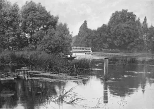 Reed Bed Prints: Pangbourne Weir, c1896