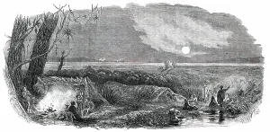 Settlers Prints: Panorama of New Zealand - Bivouack of Surveyors, 1850. Creator: Unknown
