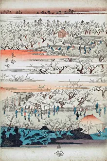 Tokyo Japan Asia Prints: Panoramic View of the Plum Viewing Pavilions of Kameido (image 2 of 3)