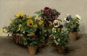 Flower Pots Gallery: Pansies, 1874. Creator: Henri Fantin-Latour