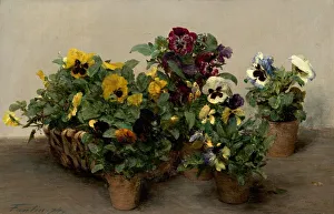 Fantin Latour Henri Prints: Pansies, 1874. Creator: Henri Fantin-Latour