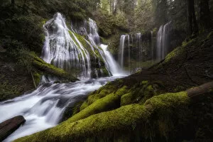 Moss Gallery: Panther Creek Falls. Creator: Joshua Johnston