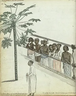 Vereenigde Oostindische Compagnie Prints: Papaya tree, litigants come to see the Dessave