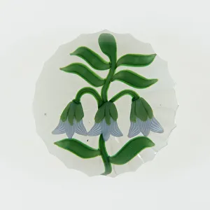 Paperweight Prints: Paperweight, England, c. 1845-60. Creator: Unknown