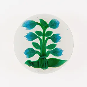 Paperweight, France, 19th century. Creator: Baccarat Glasshouse