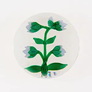 Paperweight, France, 19th century. Creator: Baccarat Glasshouse