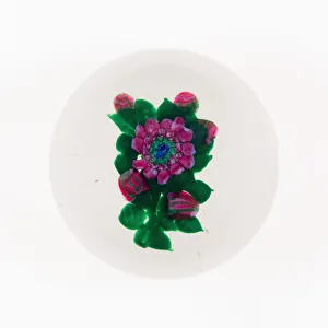 Paperweight, France, 19th century. Creator: Clichy Glassworks