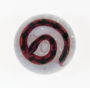 Paperweight, France, c. 1845-60. Creator: Saint-Louis Glassworks