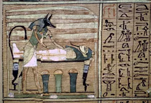 Anubis Collection: Papyrus of Anubis preparing a mummy