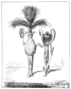 Exaggerated Prints: Parasols for 1795
