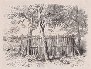 Chicks Gallery: Parc àélèves;from Magasin Pittoresque, ca. 1852