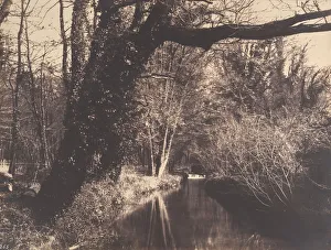 Cuvelier Eugene Prints: Parc de Courances, 1860-70. Creator: Eugene Cuvelier