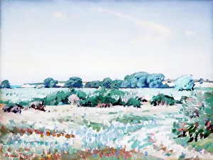 River Bed Prints: Pareora riverbed, 1920-1950. Creator: Archibald Frank Nicoll
