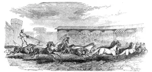 Circus Prints: The Paris Hippodrome: seventeen horses driven by M. Marin, 1860. Creator: Harrison Weir