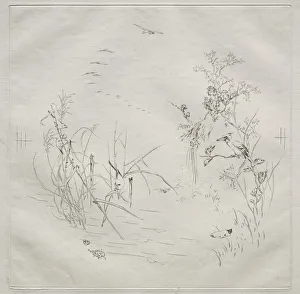 Parisian Service (Haviland service): Calm (no. 3), 1875. Creator: Felix Bracquemond (French