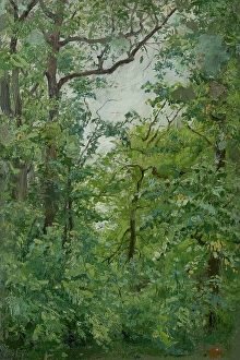 Undergrowth Prints: From the Park, 1900-1920. Creator: Jozef Hanula