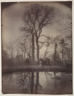 The Park at Sceaux [April 1925, 7a. m. ], 1925. Creator: Eugene Atget (French, 1857-1927)