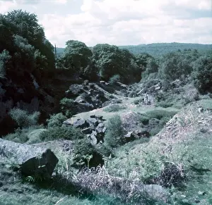 Gloucestershire Prints: Parkend, Forest of Dean, c1955. Creator: Arthur Charles Kirby Ware
