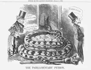 Expectation Prints: The Parliamentary Python, 1862