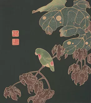 Branches Collection: The Paroquet, ca. 1900. Creator: Ito Jakuchu