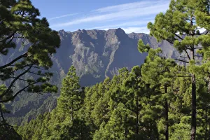 Parque Nacional de la Caldera de Taburiente, La Palma, Canary Islands, Spain, 2009