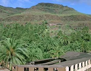 Derelict Gallery: Parque Palmitos park, Gran Canaria, Canary Islands
