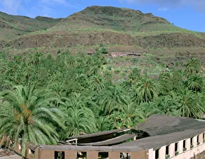 Canary Islands Prints: Parque Palmitos park, Gran Canaria, Canary Islands