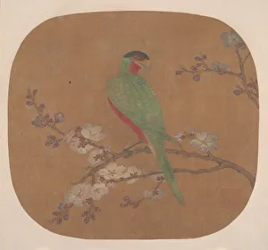 Parrot on Branch of Blossoming Tree. Creator: Unknown