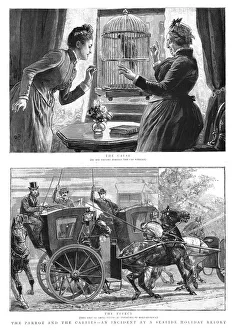 The Parrot and the Cabbies - An Incident at a Seaside Holiday Resort, 1891