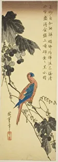 Chu Tanzaku Prints: Parrot on a Grapevine, mid-1830s. Creator: Ando Hiroshige