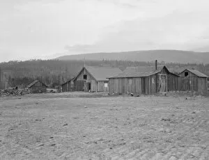 Partially-developed stump ranch seen across cleared grain field, Boundary County, Idaho, 1939. Creator: Dorothea Lange