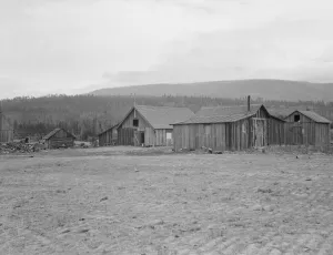 Development Prints: Partially-developed stump ranch seen across cleared grain field