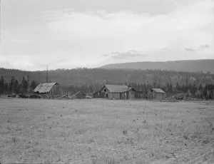 Partially-developed stump ranch seen across cleared grain field, Boundary County, Idaho, 1939. Creator: Dorothea Lange