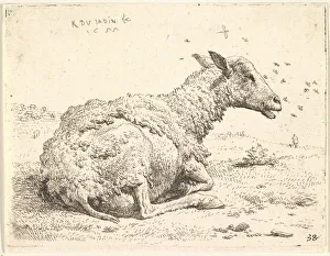 Partially shorn sheep lying in the grass with insects hovering around its head, 1655