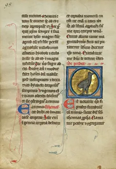 William Shelley Prints: A Partridge; De Natura Avium; De Pastoribus et Ovibus, 1277 or after. Creator: Unknown