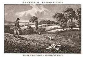 Partridges Prints: Partridge-Shooting, (1924). Creator: Unknown