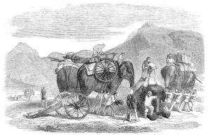 India Asia Prints: The Pashawur Mountain Train in the line of march, 1857. Creator: Unknown