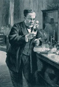 Bacteriologist Prints: Pasteur, Louis (1822 - 1895), French chemist and bacteriologist, engraving