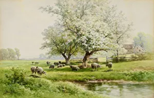 Pastoral Landscape, late 19th-early 20th century. Creator: Carl Weber Pastoral Landscape, late 19th-early 20th century. Creator: Carl Weber