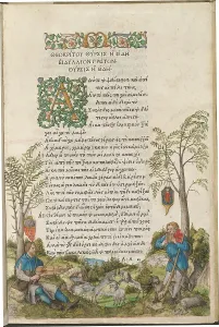 A Durer Prints: A Pastoral Landscape with Shepherds Playing a Viola and Panpipes