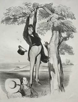 Honoré Daumier French Gallery: Pastorales, plate 2: The Hazards of shaking a plum tree too vigorously... 1845. Creator