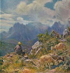 Goat Gallery: Pastures in the Apuan Alps, c1922. Artist: Alfredo Vaccari