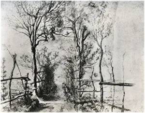 A Path Bordered by Trees, c1620-1625 (1958)